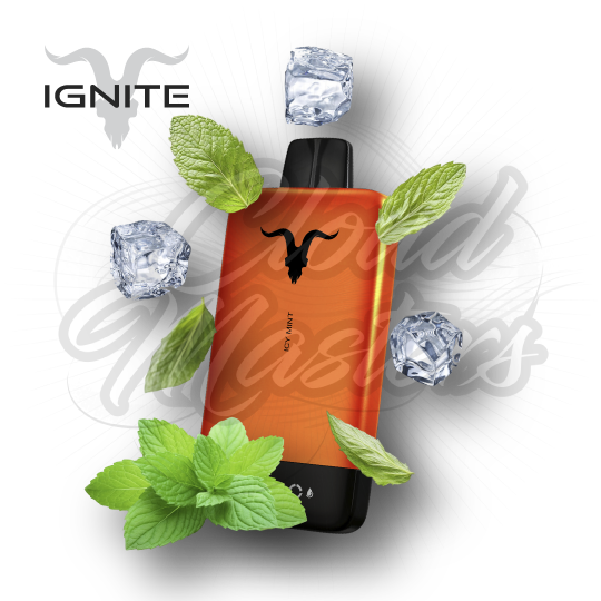 Ignite - V155 - Ultra Slim - Orange - Icy Mint